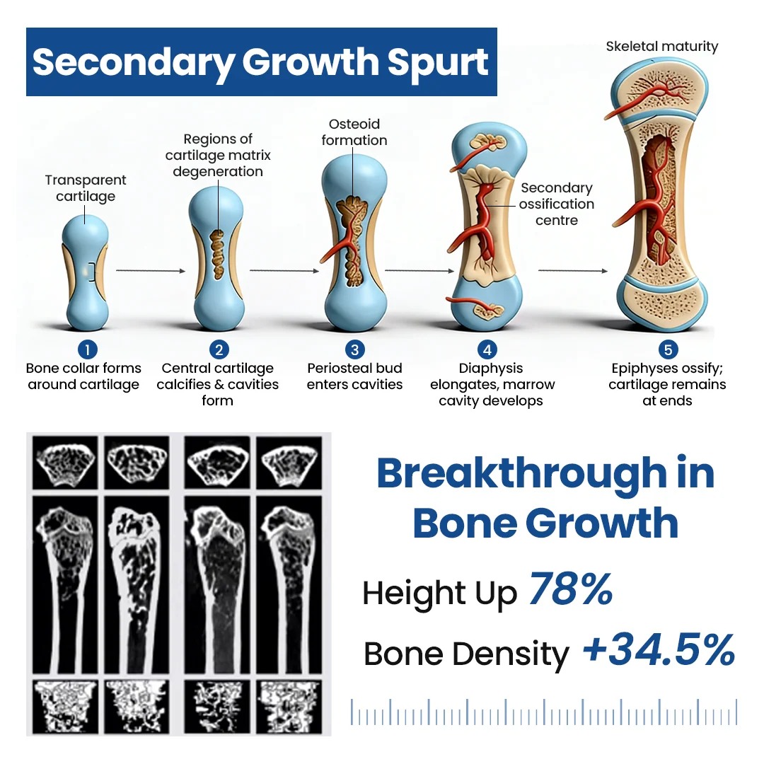 Height Growth Support Spray