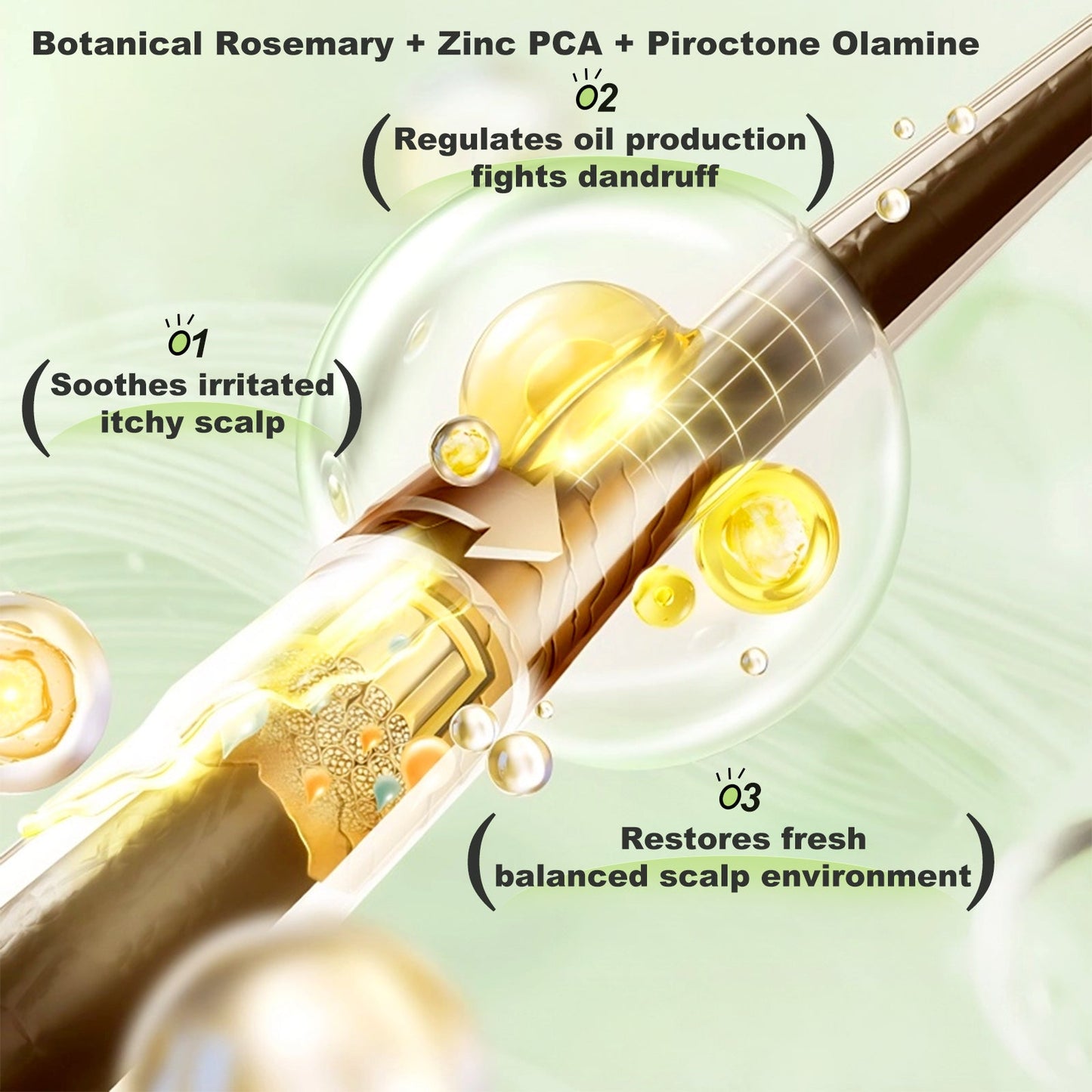 Tgideas® Rosemary & Zinc PCA Strengthening Shampoo